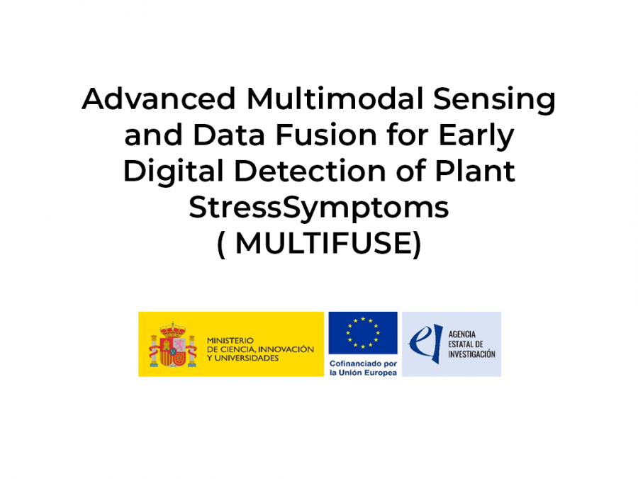 MULTIFUSE