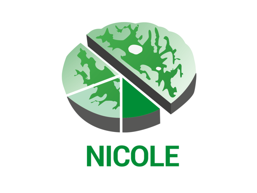 NICOLE-2