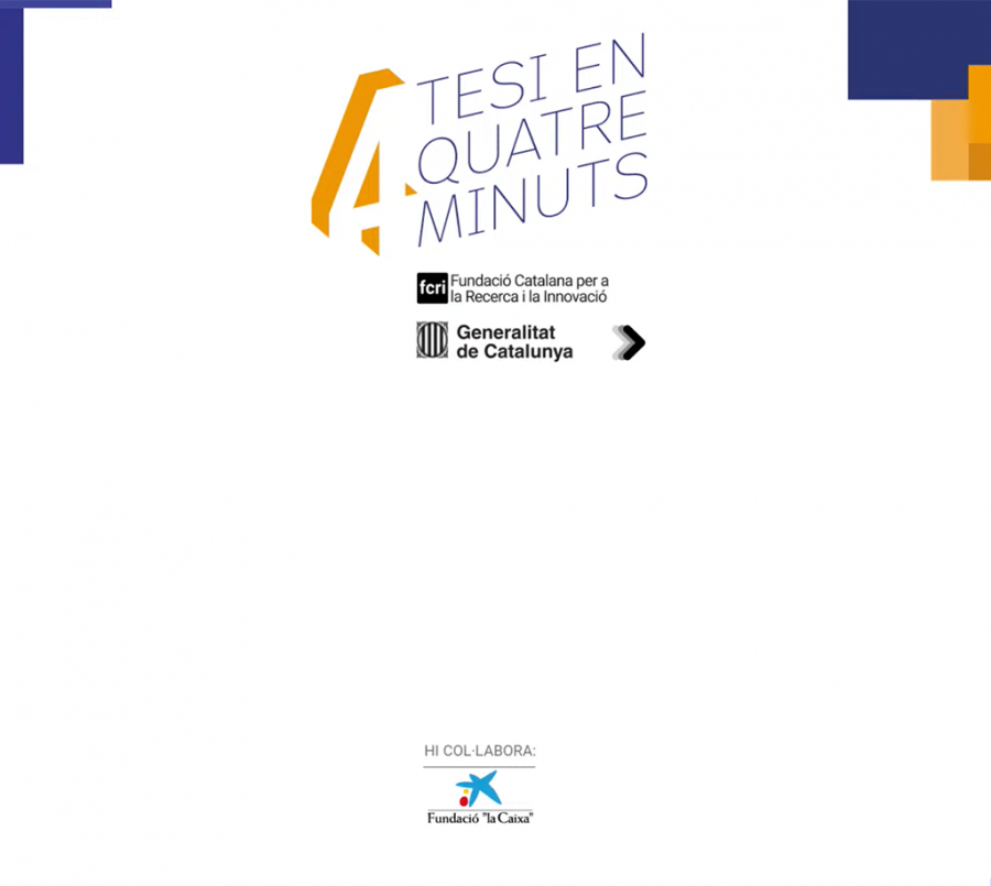 Tesis4minuts