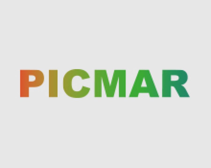picmar1